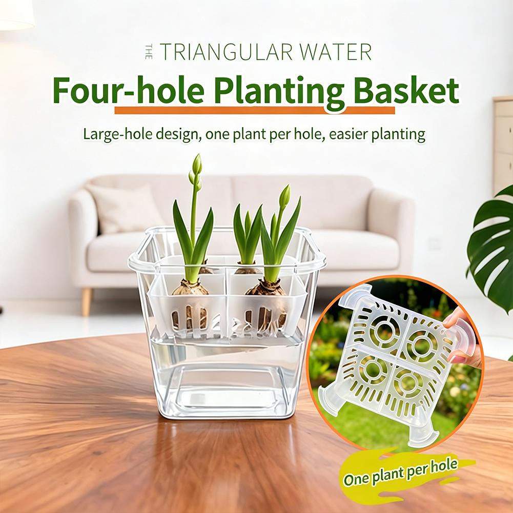 Hydroponic Grow Pod - 1 Stück Hydroponischer Pflanzentopf für Tulpenzwiebeln,