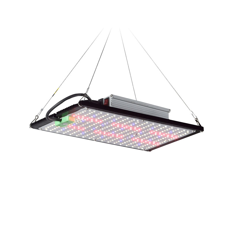 LED-Quantum-Board-Pflanzenlamp – Plant Grow Light Full Spectrum Bewertung und Preis