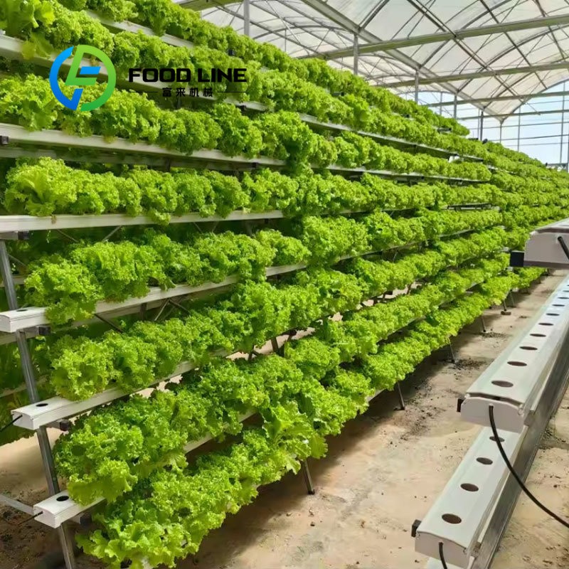 Smarte Hydroponik 20Ft/40Ft Sc – Hydroponic Tower Bewertung und Preis