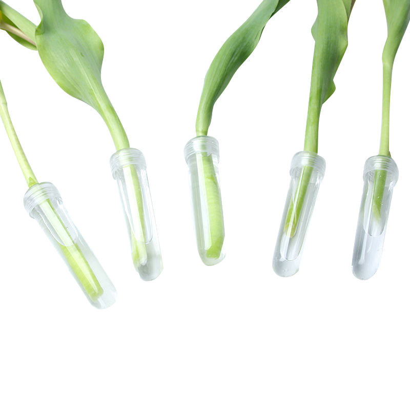 20 Stück Kunststoff-Frisch blu – Hydroponic Grow Pod Bewertung und Preis