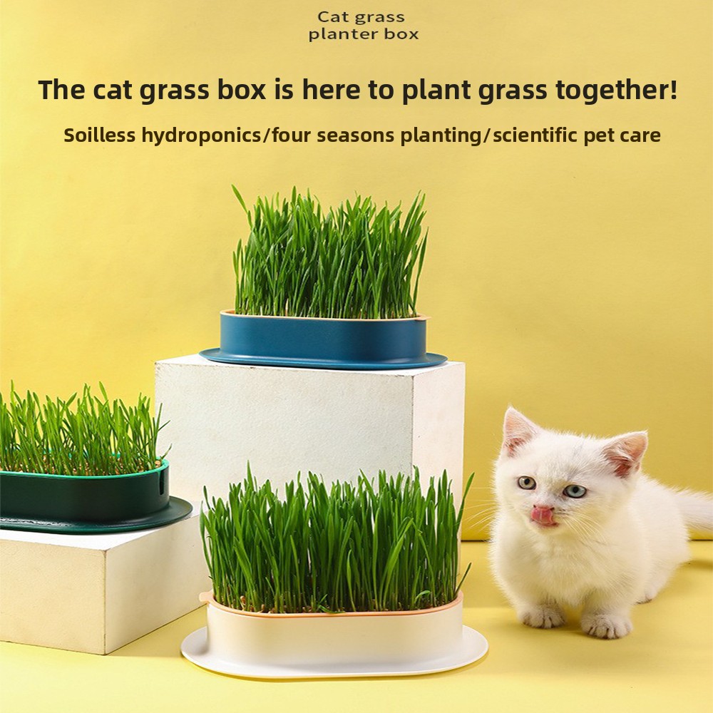 Heimtierbedarf, Katzensnacks,  – Hydroponic Grow Pod Bewertung und Preis