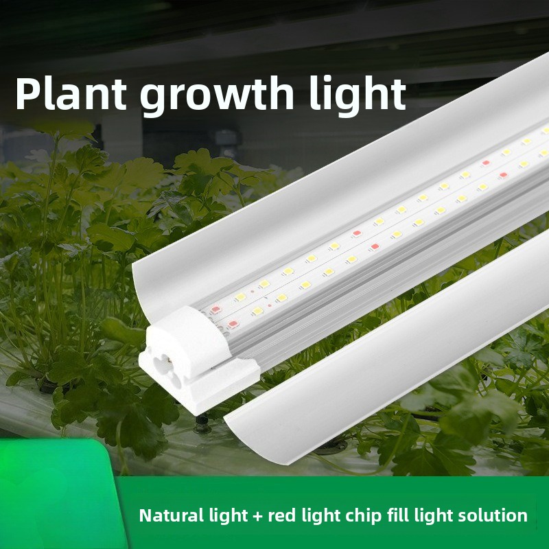 Indoor-Pflanzenzusatzbeleuchtu – Plant Grow Light Full Spectrum Bewertung und Preis