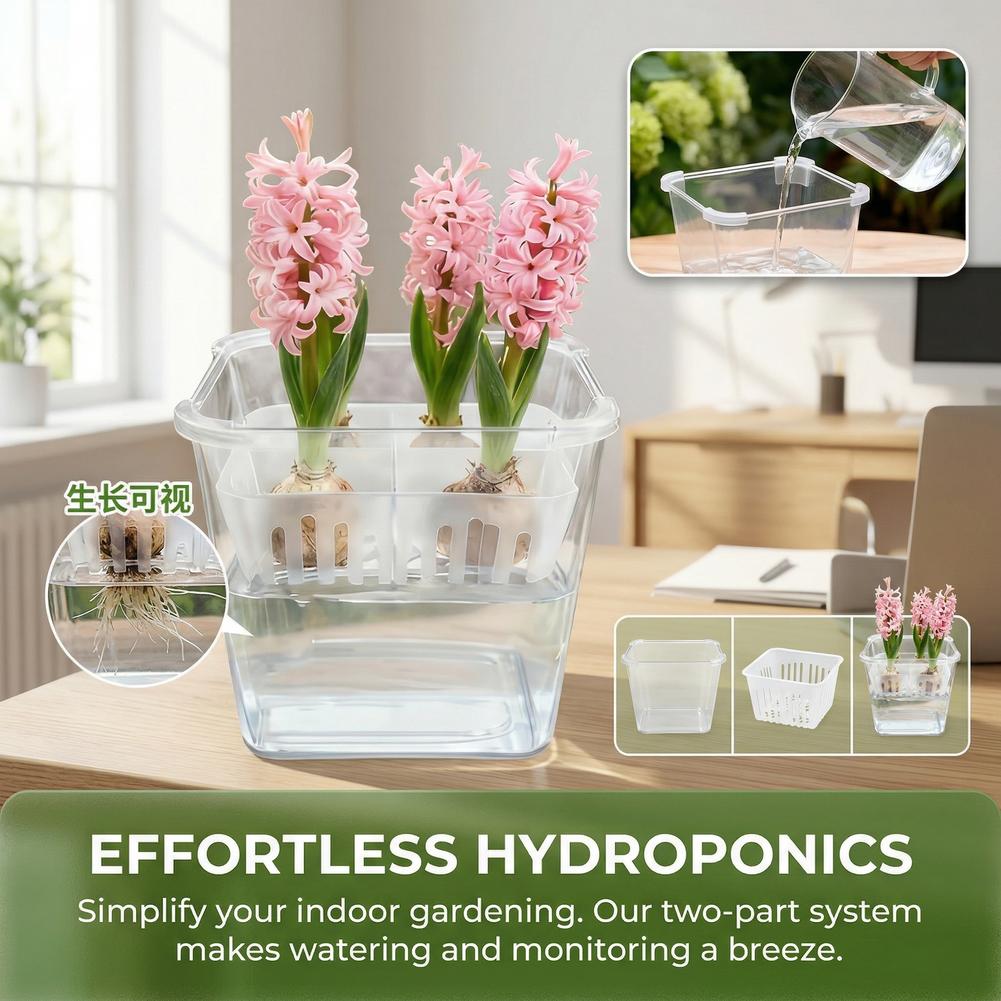 1 Stück Hydroponischer Pflanze – Hydroponic Grow Pod Bewertung und Preis