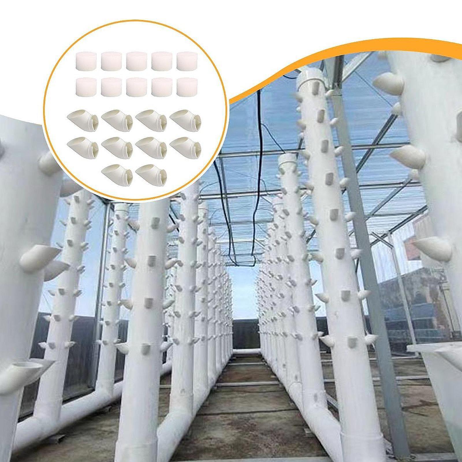 10 Stück Hydroponische Anzucht – Hydroponic Tower Bewertung und Preis