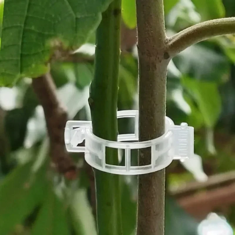 Pflanzenstützclips Wiederverwe – Smart Garden Kit Bewertung und Preis