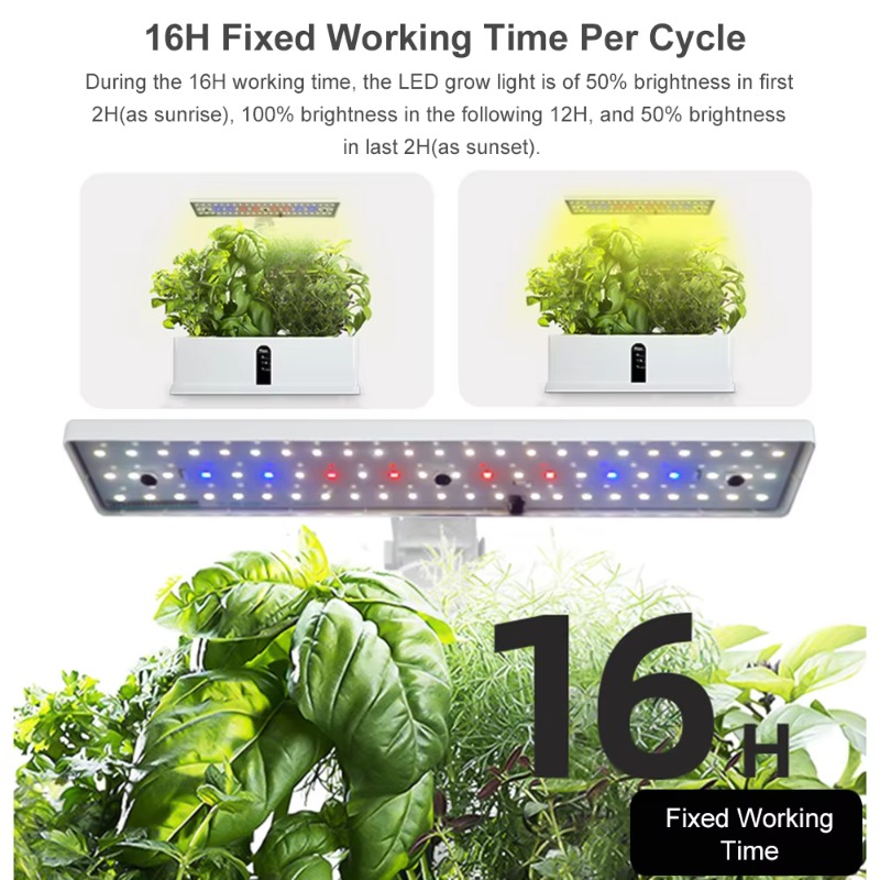 9-Pods Smart Hydroponisches An – Indoor Garden Kit Bewertung und Preis