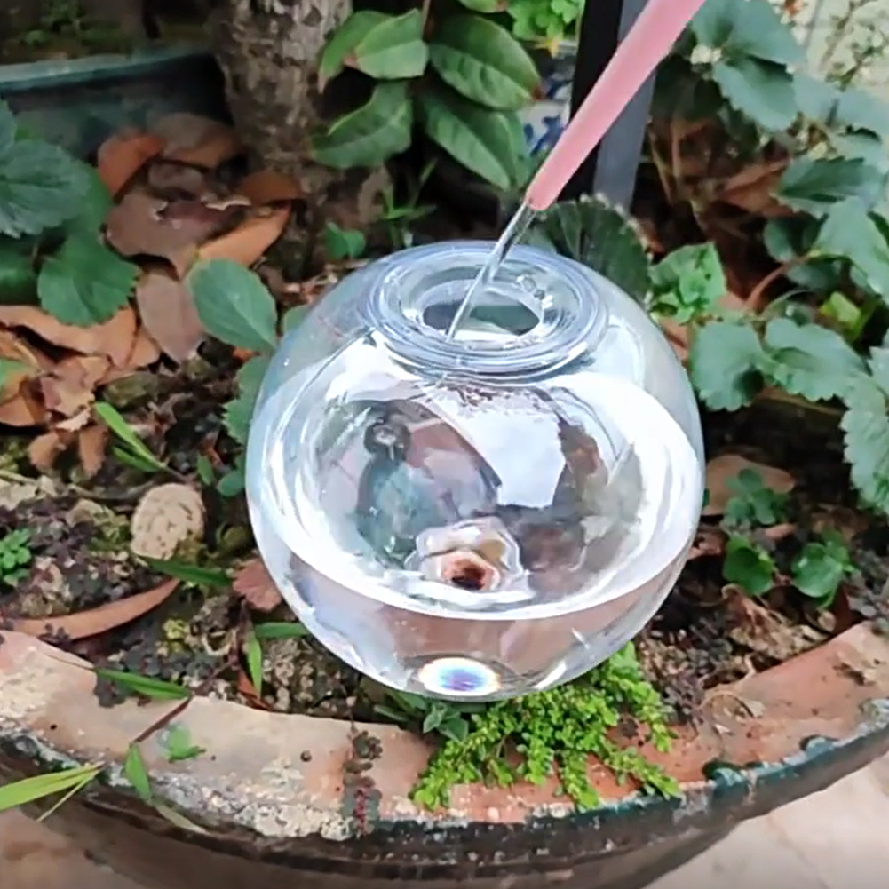 500ML Selbstbewässernde Globen – Self Watering Planter Bewertung und Preis