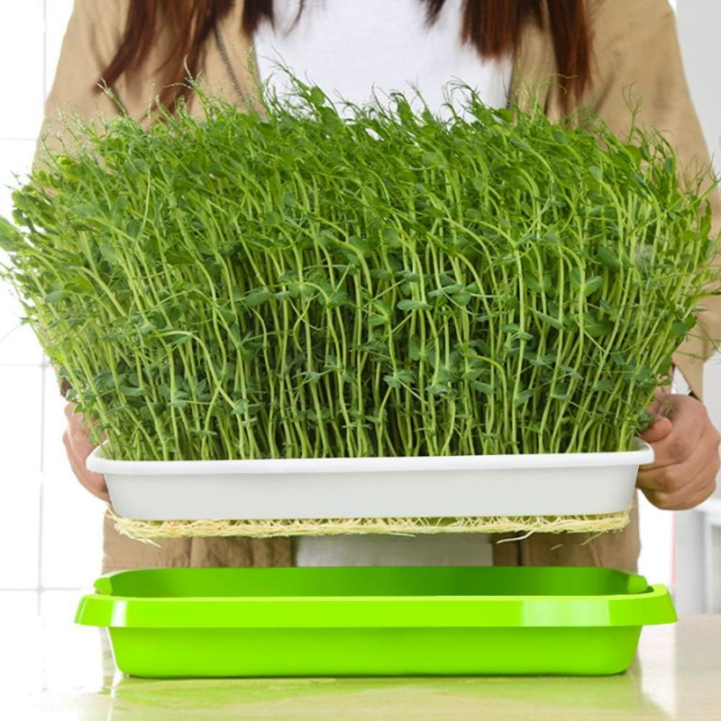 Microgreens-Sprossenschale, Ke – Hydroponic Grow Pod Bewertung und Preis
