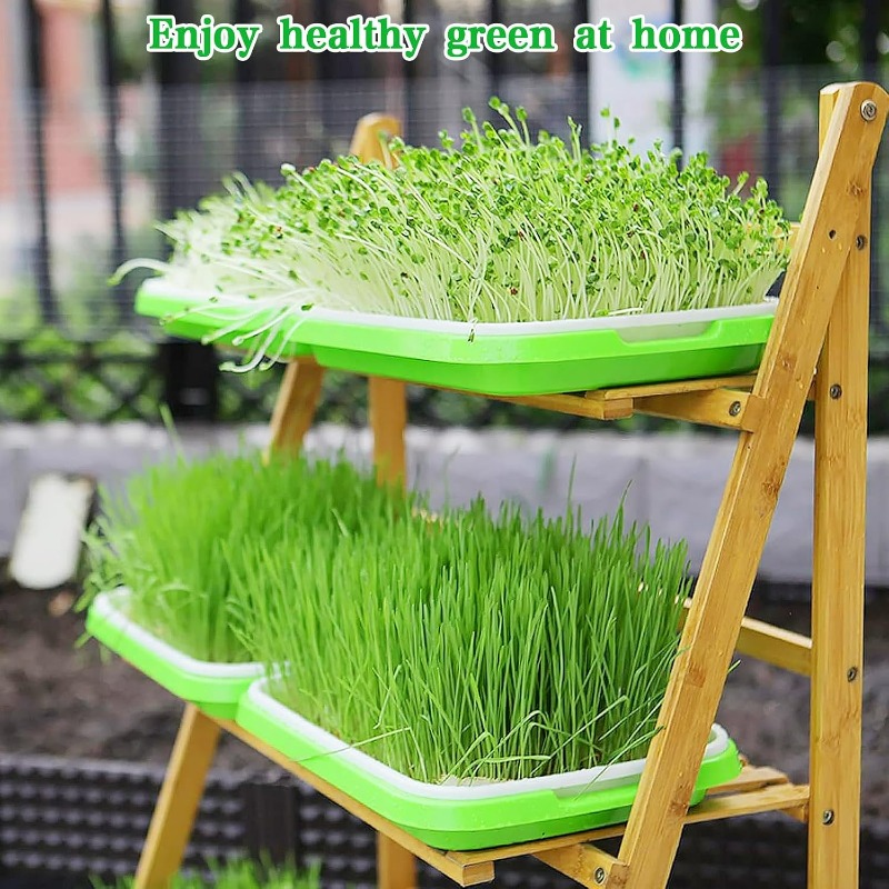 Microgreens-Sprossenschale, Ke – Hydroponic Grow Pod Bewertung und Preis