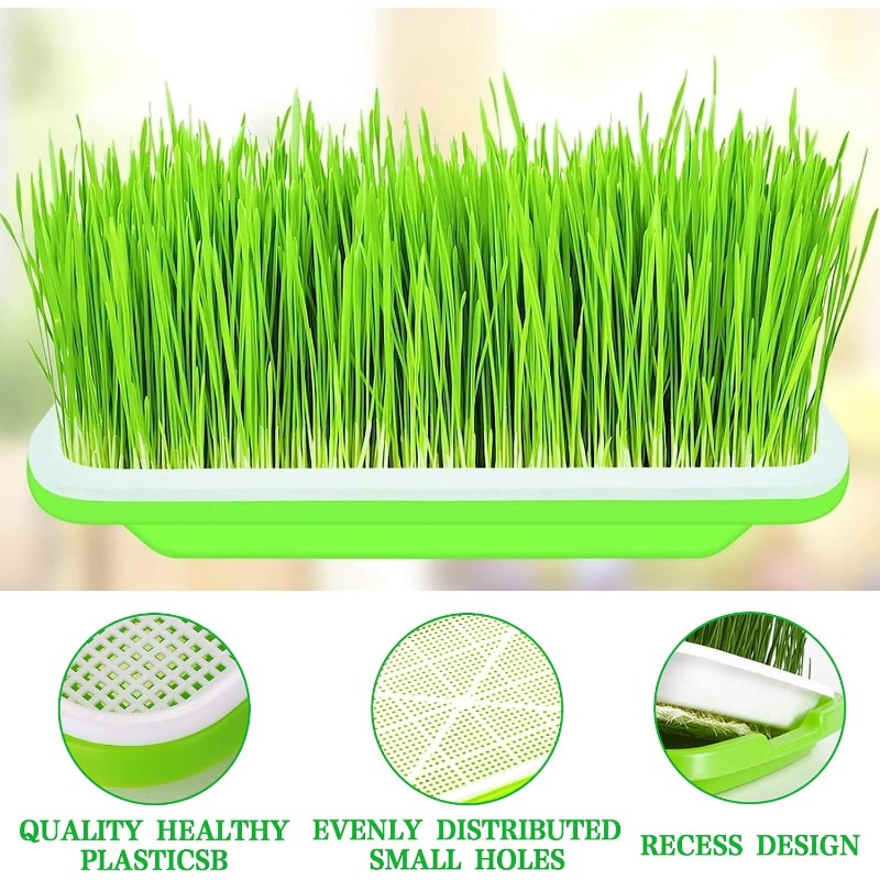 Microgreens-Sprossenschale, Ke – Hydroponic Grow Pod Bewertung und Preis