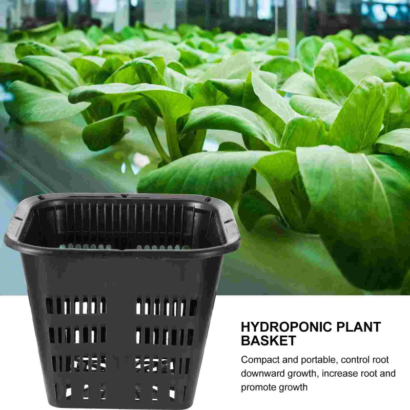 6 Stück Hydroponische Pflanzkö – Hydroponic Grow Pod Bewertung und Preis