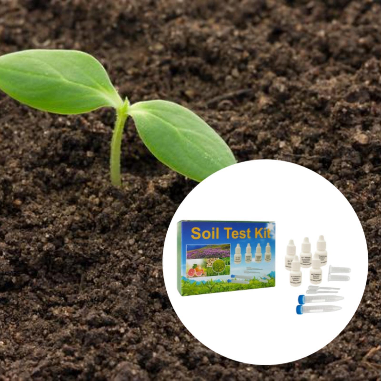 Bodenprüfsatz, einfach zu bedi – Indoor Garden Kit Bewertung und Preis