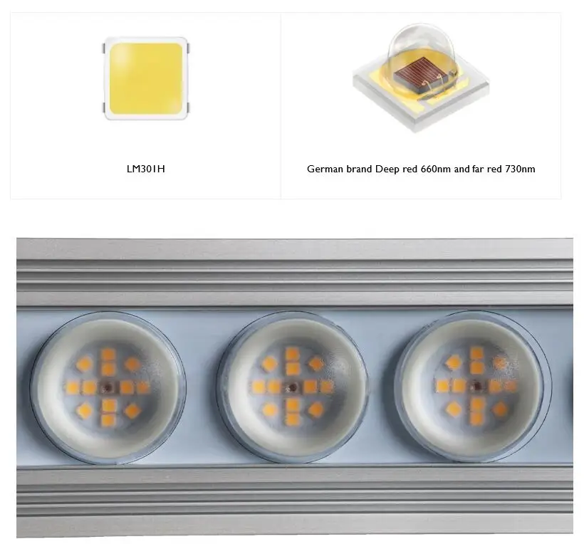 Koray 900W Indoor Vollspektrum – Grow Light Led Bewertung und Preis
