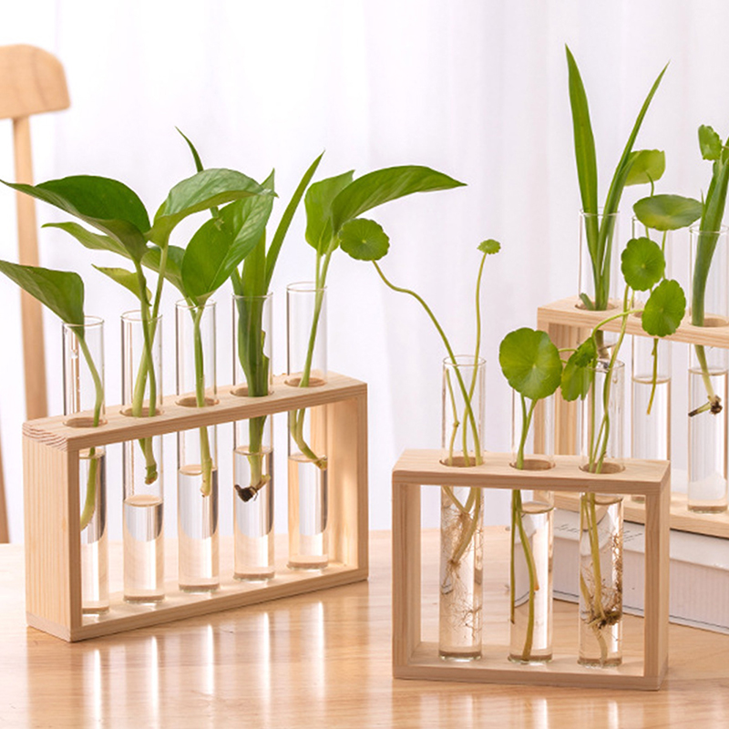 Hydrokultur-Pflanzenbehälter m – Hydroponic Grow Pod Bewertung und Preis